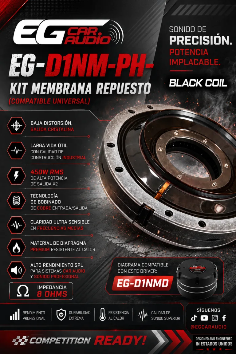 FLAYER MEMBRANA 2